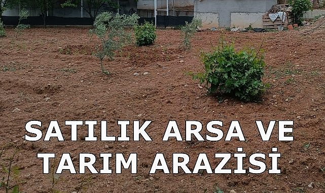 Trabzon Sürmene&#039;de Tarım Arazisi ve Arsa İcradan Satışa Çıkartıldı