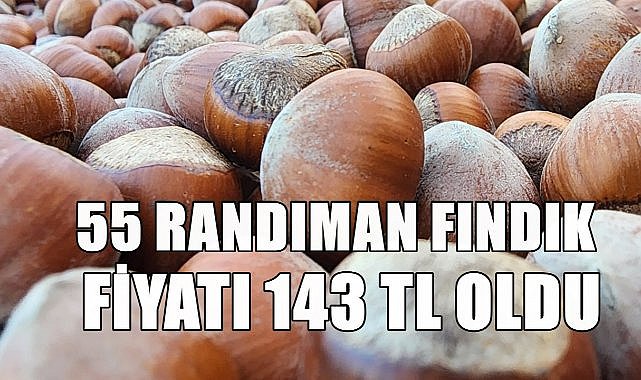 55 Randıman Fındık 143 TL Oldu