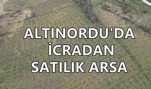 Altınordu&#039;da İcradan Satılık Arsa; Fiyatı ve Detayları Açıklandı
