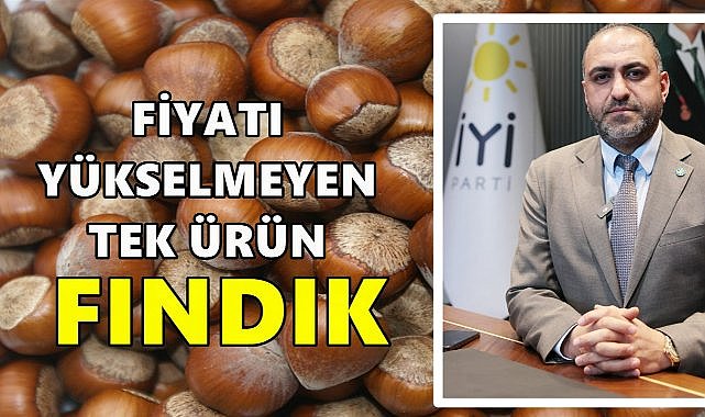 Başkan Titiz&#039;den Şok İddia; Fındık Fiyatları Bilerek Düşürüldü