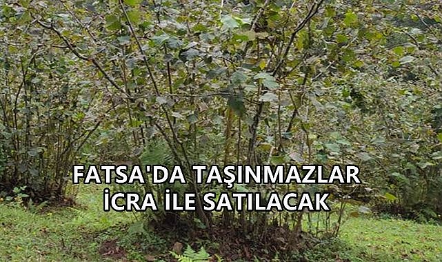Fatsa Ilıca&#039;da Taşınmazlar İçin Açık Arttırma Başlıyor