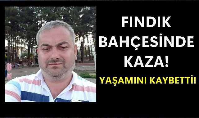 Fındık Bahçesinde Kaza; Gübre Atmaya Gidiyordu!