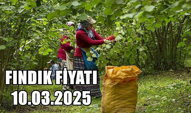Fındık Fiyatı 10 Mart 2025 Pazartesi