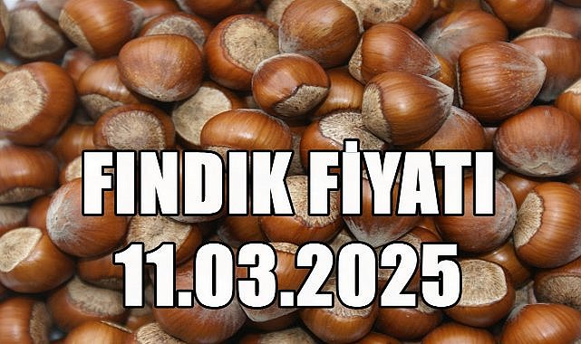 Fındık Fiyatı 11.03.2025 Salı