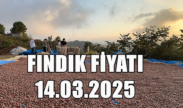 Fındık Fiyatı 14 Mart 2025 Cuma
