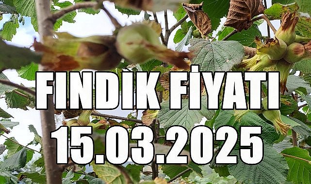Fındık Fiyatı 15 Mart 2025 Cumartesi
