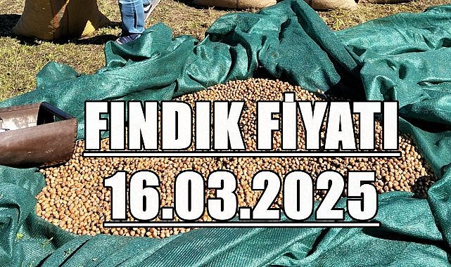 Fındık Fiyatı 16 Mart 2025 Pazar