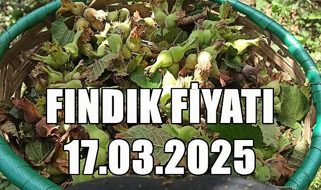 Fındık Fiyatı 17 Mart 2025 Pazartesi