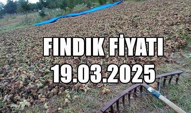 Fındık Fiyatı 19 Mart 2025 Çarşamba