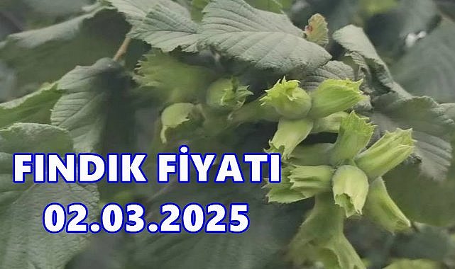 Fındık Fiyatı 2 Mart Pazar 2025