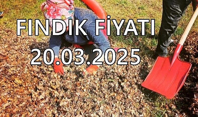 Fındık Fiyatı 20 Mart 2025 Perşembe