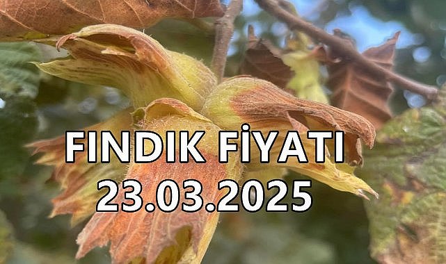 Fındık Fiyatı 23 Mart 2025 Pazar