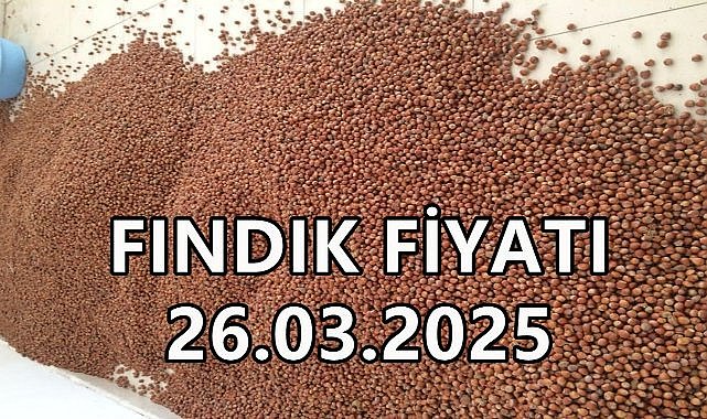 Fındık Fiyatı 26 Mart 2025 Çarşamba