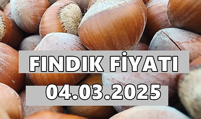 Fındık Fiyatı  4 Mart Salı 2025