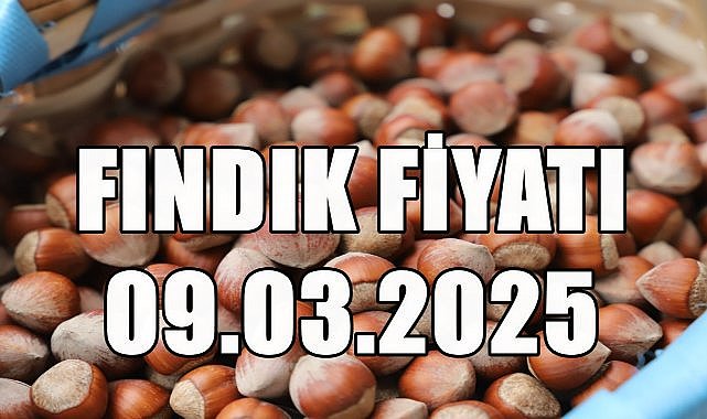 Fındık Fiyatı 9 Mart 2025 Pazar