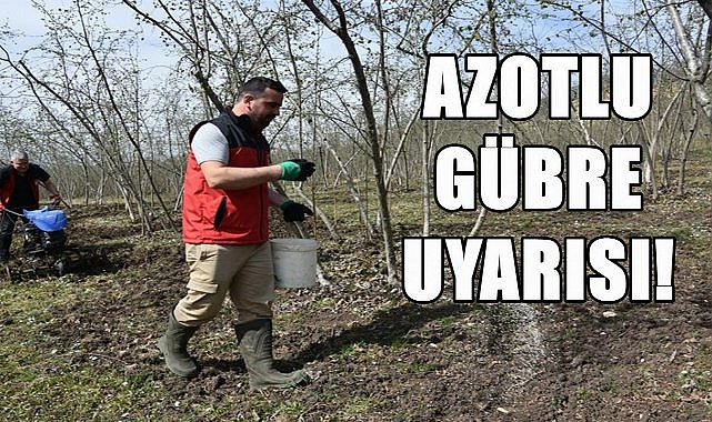 Fındık Üreticisine Azotlu Gübre Uyarısı!