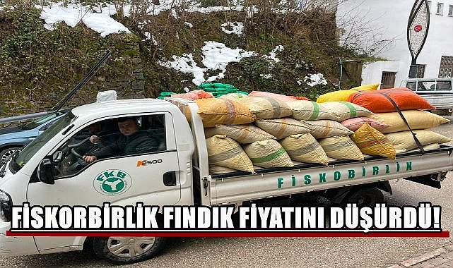 Fiskobirlik Fındık Fiyatını Düşürdü; Üretici Şaşkın!