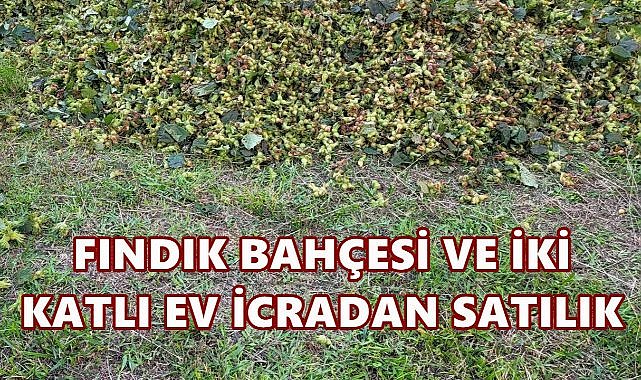 Giresun Merkez&#039;de Fındık Bahçesi ve 2 Katlı Ev İcra Yolu İle Satılacak