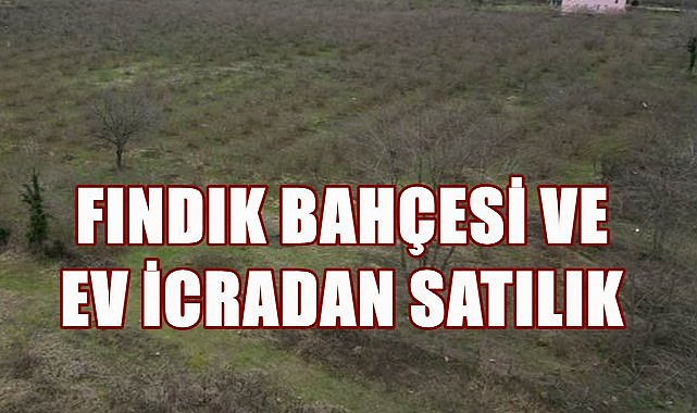 Giresun Piraziz&#039;de Fındık Bahçesi ve Kargir Ev İcra Yolu İle Satılacak