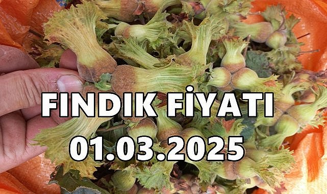 Mart Ayının İlk Günü Fındık Fiyatı