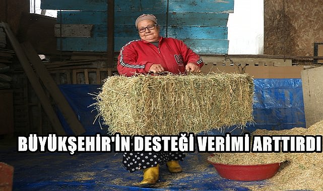 Ordu Büyükşehir Besicilere Verdiği Destekle Süt Verimliliğini Arttırıyor