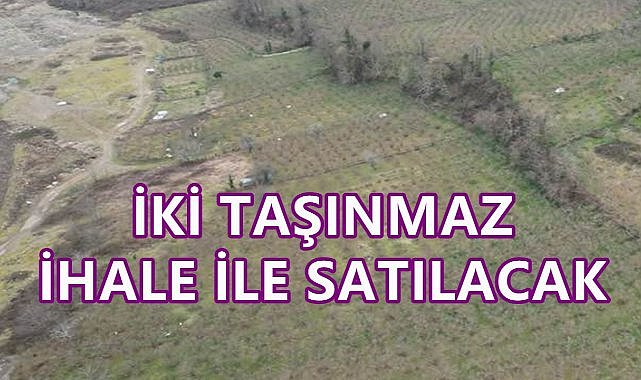 Ordu Çatalpınar&#039;da İki Taşınmaz İhale İle Satışa Çıkartıldı
