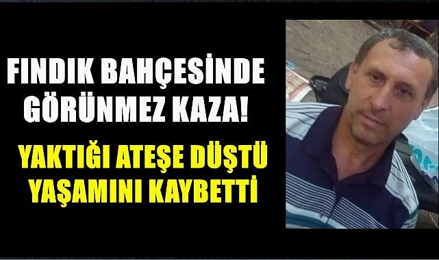 Ordu&#039;da Fındık Bahçesinde Görünmez Olay!