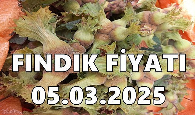 Ordu&#039;da Fındık Fiyatı 125 TL&#039;ye Geriledi, Üreticiler Endişeli!