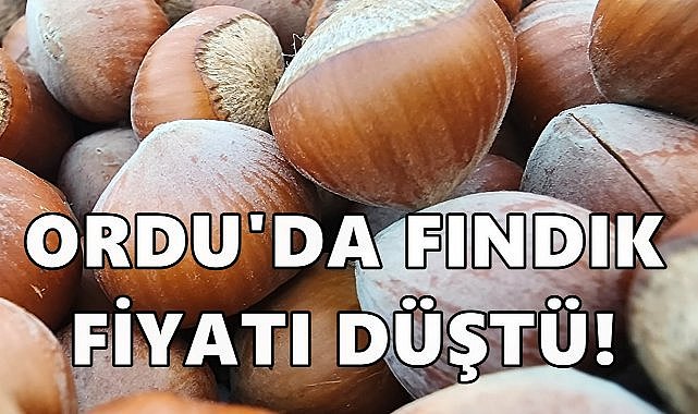 Ordu&#039;da Fındık Fiyatı Yeni Haftaya Düşüşle Başladı