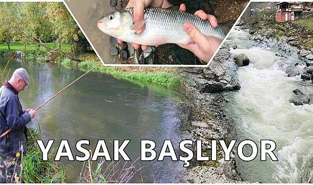 Ordu&#039;da İç Sularda Amatör Balıkçılığa Yasak Başlıyor!