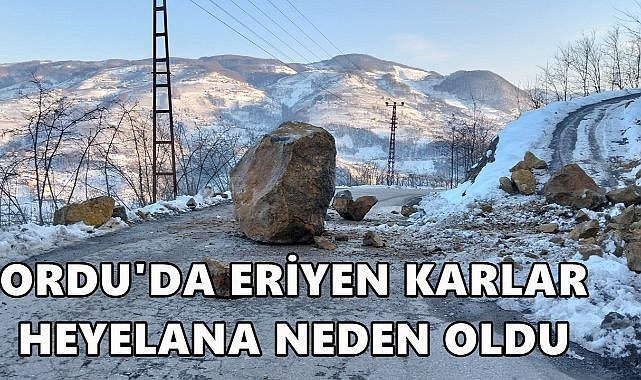 Ordu&#039;da Kar Erimesi Heyelana Neden Oldu