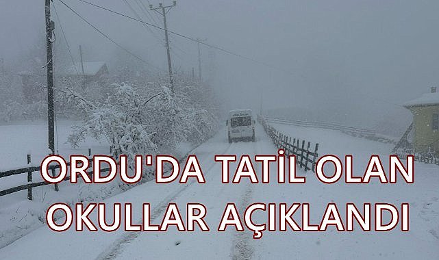 Ordu&#039;da Okullara Kar Tatili; 1 Gün Tatil Olan Okullar Açıklandı