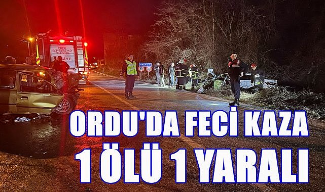 Ordu&#039;da Trafik Kazasında Sürücü Hayatını Kaybetti