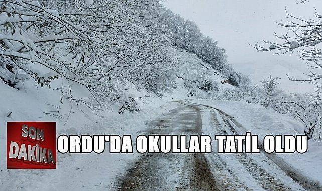 Ordu&#039;da Yoğun Kar Yağışı: İşte Tatil Edilen Okullar!
