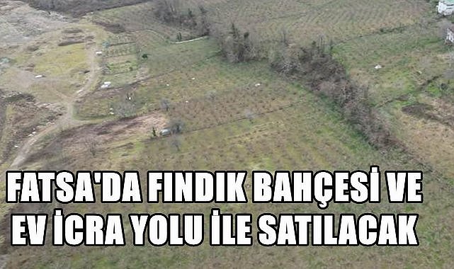 Ordu Fatsa&#039;da Fındık Bahçesi ve Ev İcra Yolu İle Satılacak
