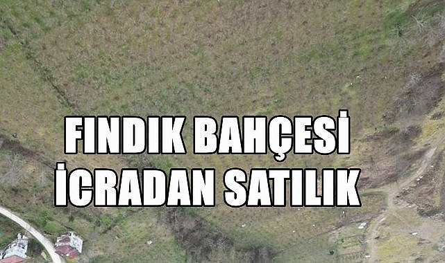 Ordu Korgan&#039;da Fındık Bahçesi İcradan Satılık!