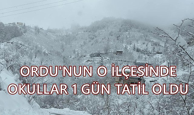 Ordu&#039;nun O İlçesinde Okullar 1 Gün Tatil Edildi