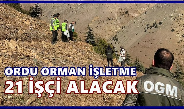 Ordu Orman İşletme Müdürlüğü&#039;ne 21 İşçi Alınacak; Detaylar Belli Oldu