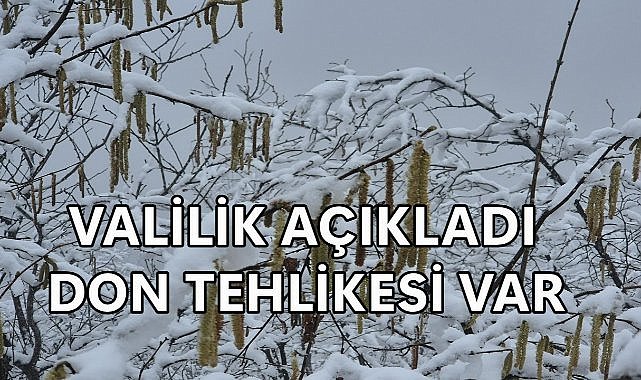 Ordu Valiliği Uyardı; Fındık İçin Don Riski Var!