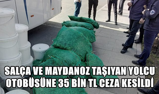 Salça ve Maydanoz Taşıyan Yolcu Otobüsüne 35 Bin TL Para Cezası Kesildi