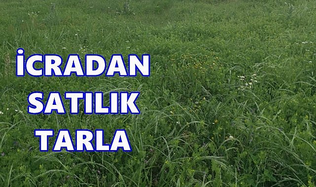 Samsun İlkadım&#039;da Tarla İcradan Satılacak