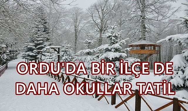 Son Dakika; Ordu&#039;da bir İlçe de daha okullar tatil edildi