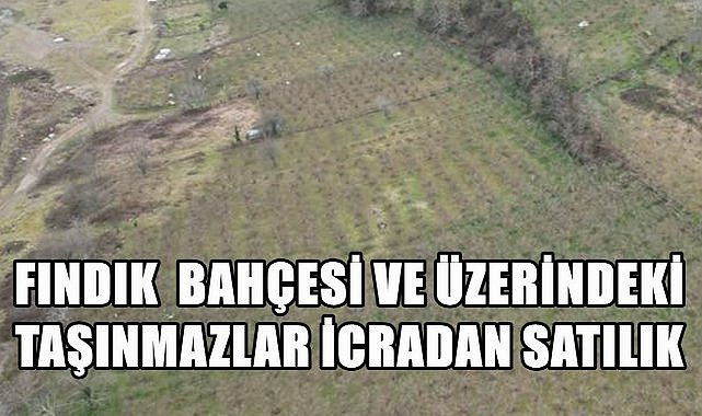 Trabzon Vakfıkebir&#039;de Fındık Bahçesi ve Üzerindeki Taşınmazlar İcra İle Satılacak