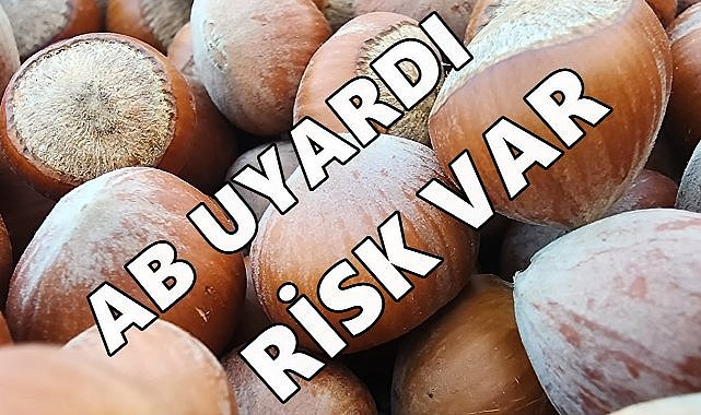 Türk Fındığına AB Uyarısı; Risk Var!