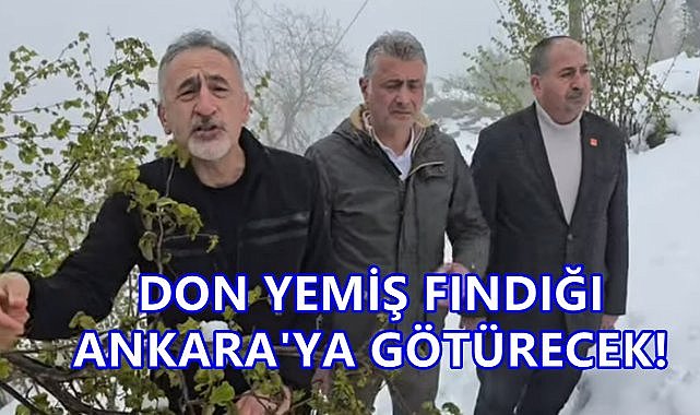 Adıgüzel Don Yemiş Fındığı Ankara&#039;ya Götürecek!