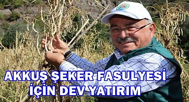 Akkuş Fasulyesi İçin Dev Yatırım; 28 Milyon TL'lik Sulama Projesi Geliyor