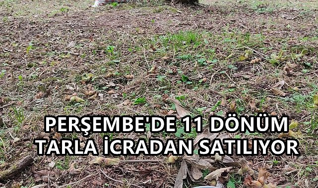 Efirli&#039;de İcradan Satılık Tarla; 11 Dönüm Arazi Alıcı Bekliyor!