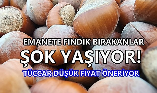 Fındığı Emanete Bırakanlara Şok; Tüccar Düşük Fiyat Veriyor