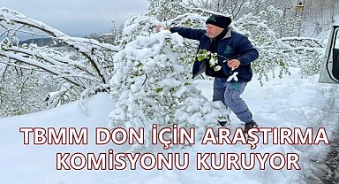 Fındık Dondan Zarar Gördü; TBMM Araştırma Komisyonu Kuruyor!