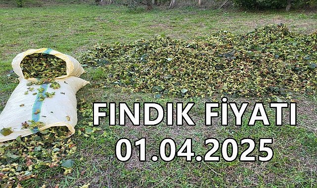 Fındık Fiyatı 1 Nisan 2025 Salı
